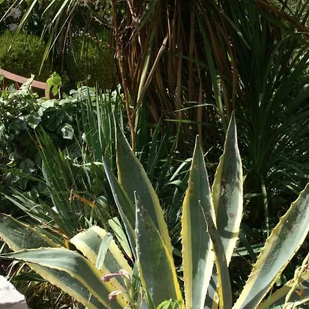 Apartment By The Sea Kanica, - 1118