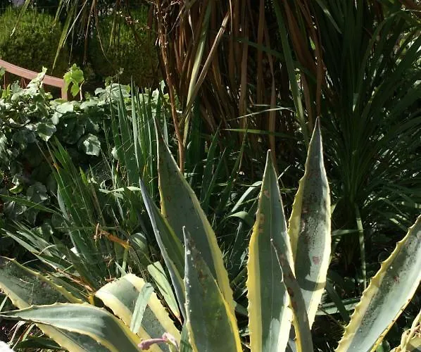 Appartement By The Sea Kanica, - 1118